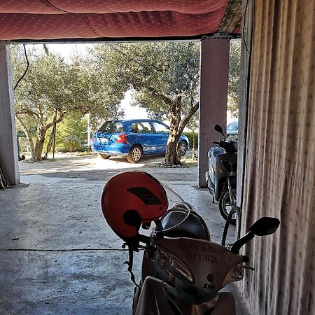 Apartmani Ivica Krzanic Podgora Exteriér fotografie